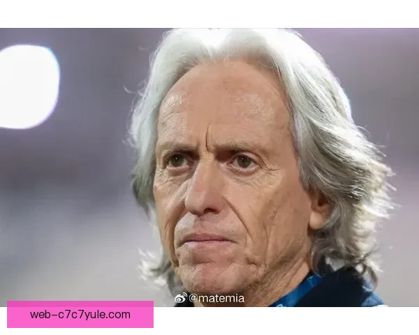 热苏斯：有信心入选巴西队 可胜任四个前场位置