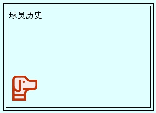 球员历史