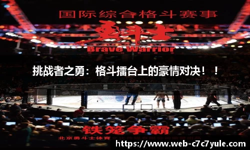 挑战者之勇：格斗擂台上的豪情对决！ !