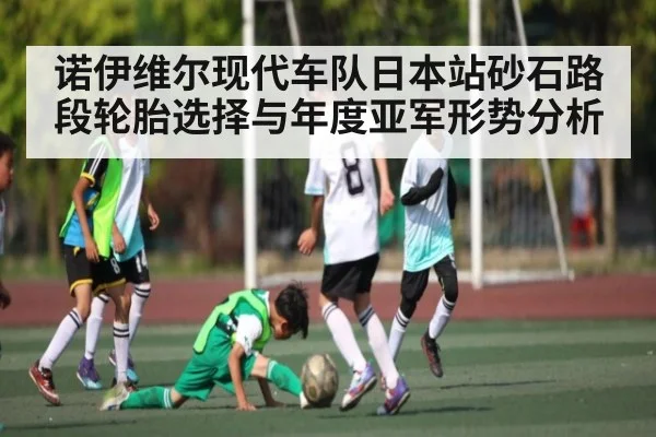 诺伊维尔现代车队日本站砂石路段轮胎选择与年度亚军形势分析 | c7c7.vip，c7c7.app