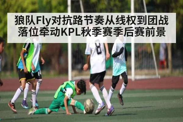 狼队Fly对抗路节奏从线权到团战落位牵动KPL秋季赛季后赛前景 | c7c7.vip，c7c7.app